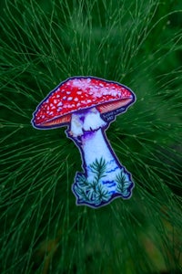 a sticker with a red mushroom on it